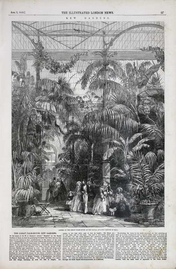 The Palm House at Kew in The Illustrated London News on TheGenealogist